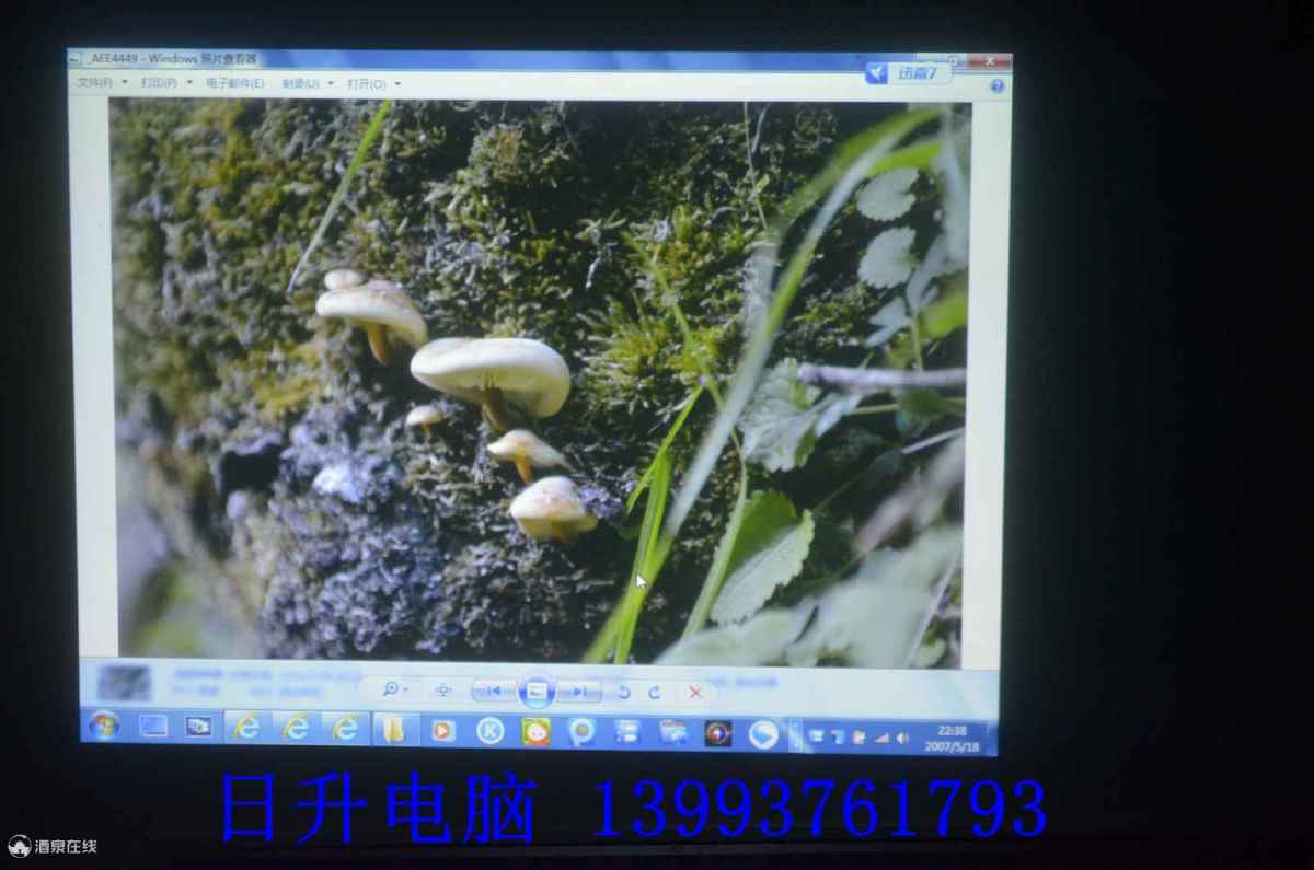_AEE6375.jpg