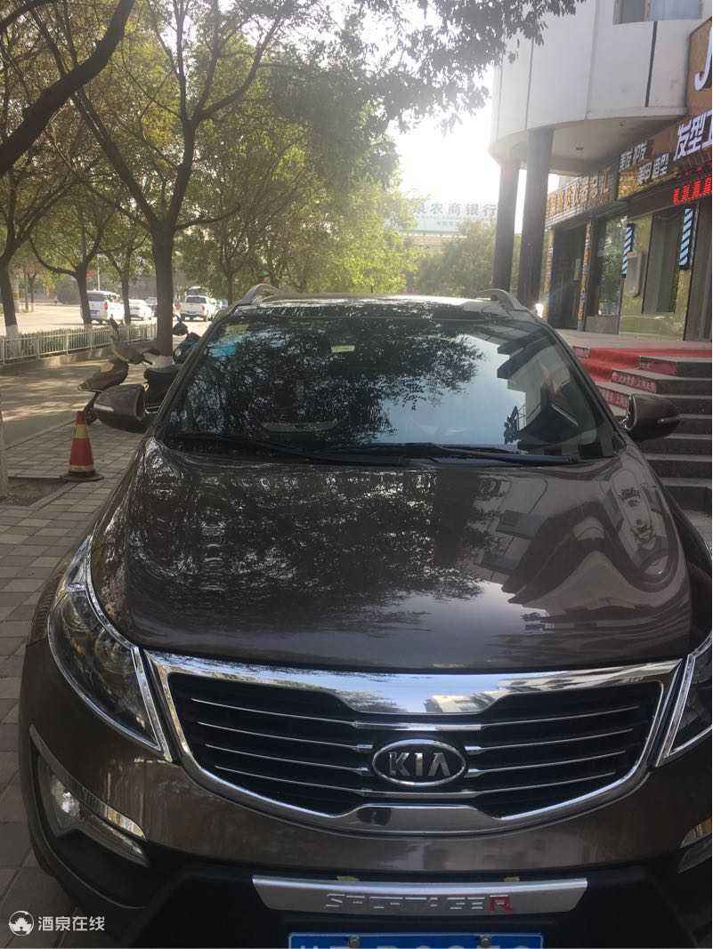 5nX2yBOJ17hp.jpg