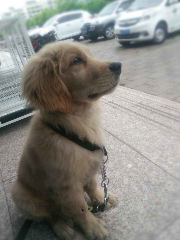 QQ图片20170524234251.jpg