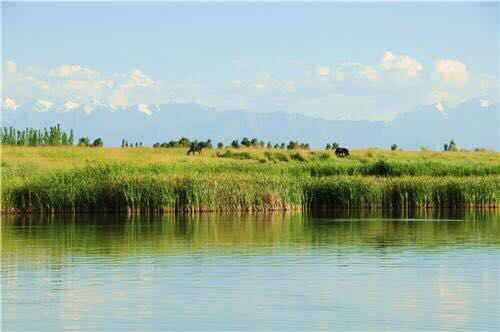 微信图片_20170607172517 - 副本.jpg