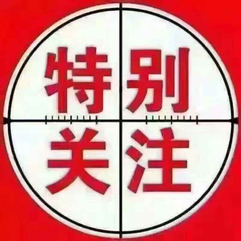 222553833170854292.jpg