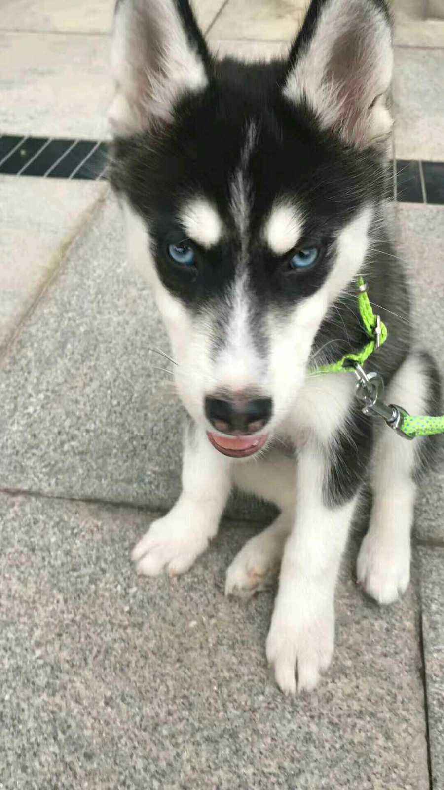 SyHYk9Kq8x5x.jpg