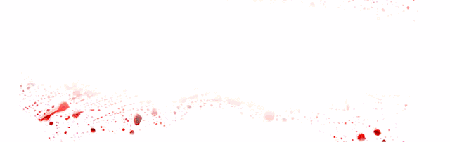 0.gif