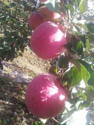 IMG20171014095040.jpg