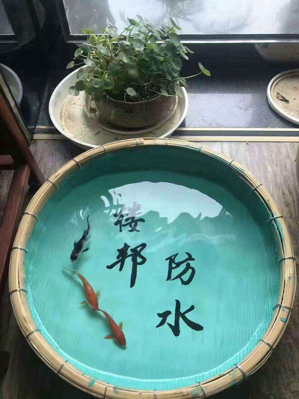 防水-19.jpg