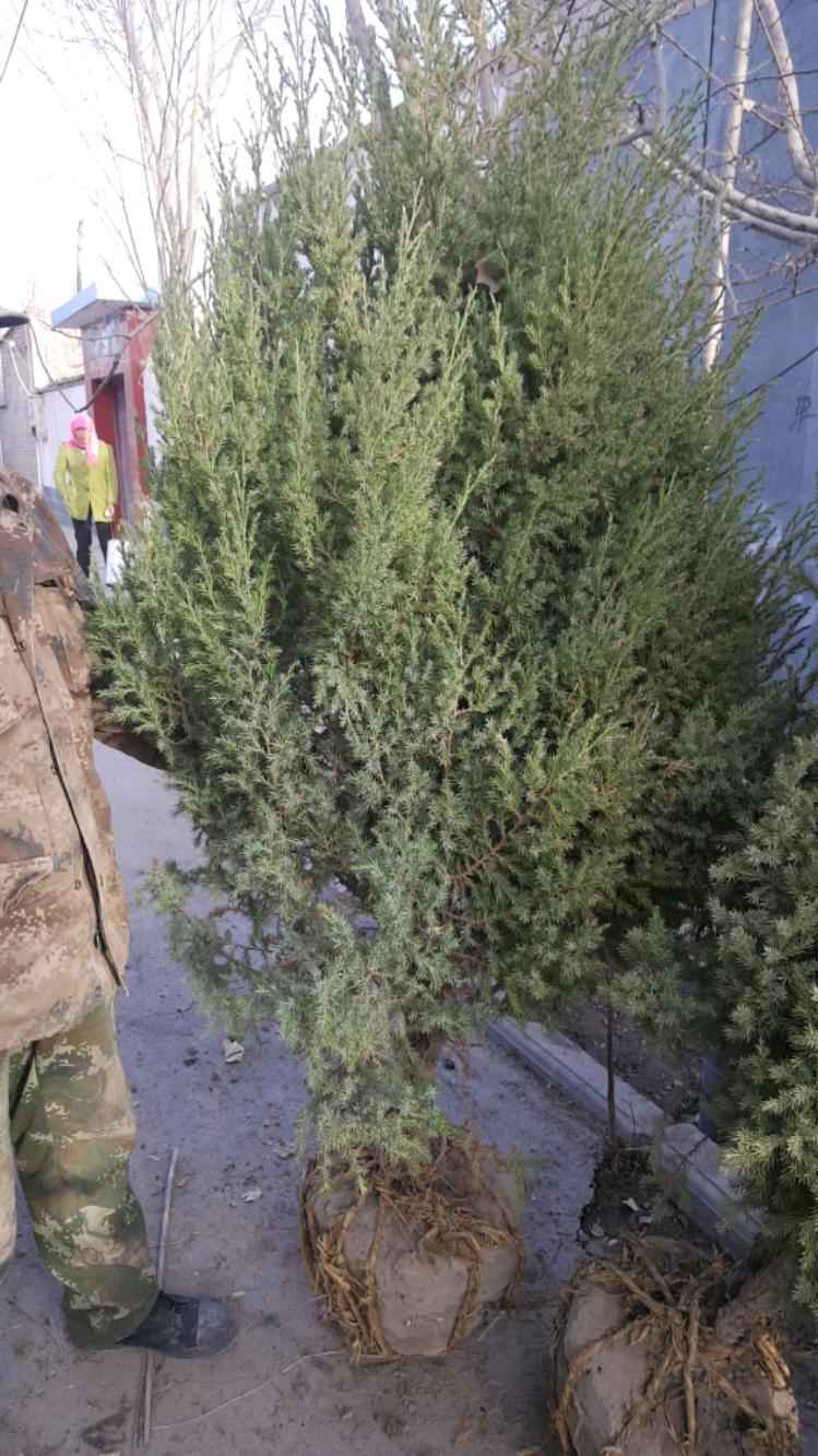 wx_camera_1524009180216.jpeg