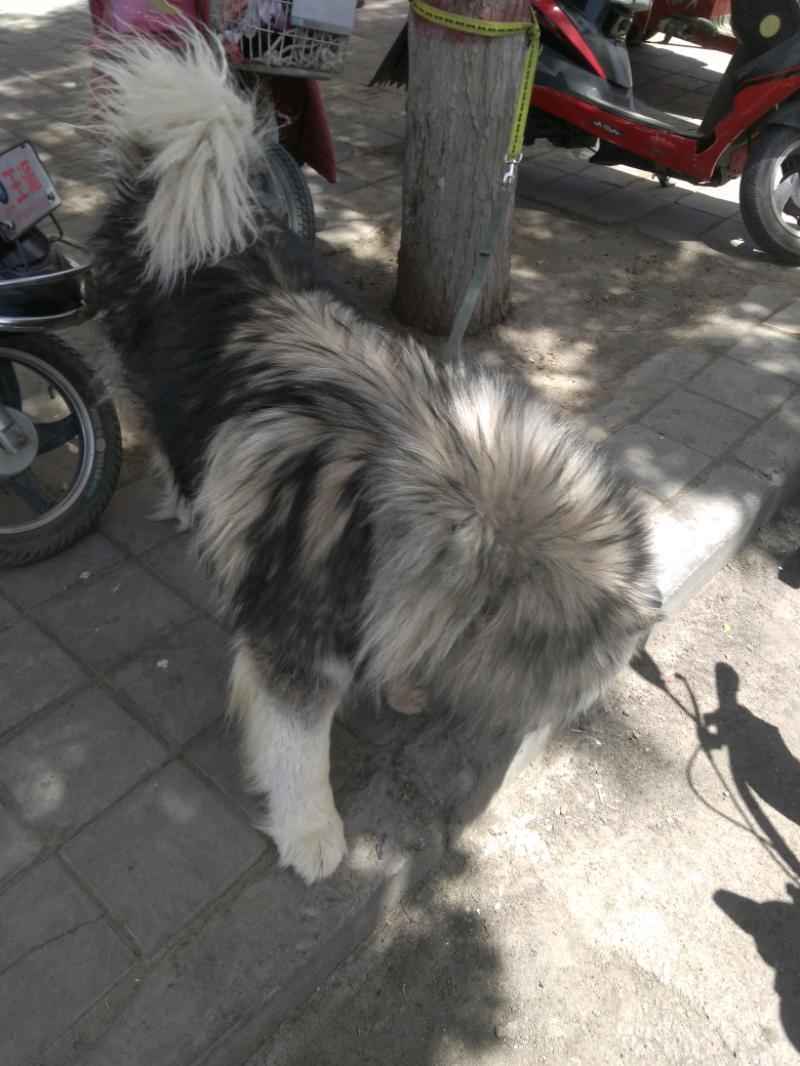 1527397670671.jpeg