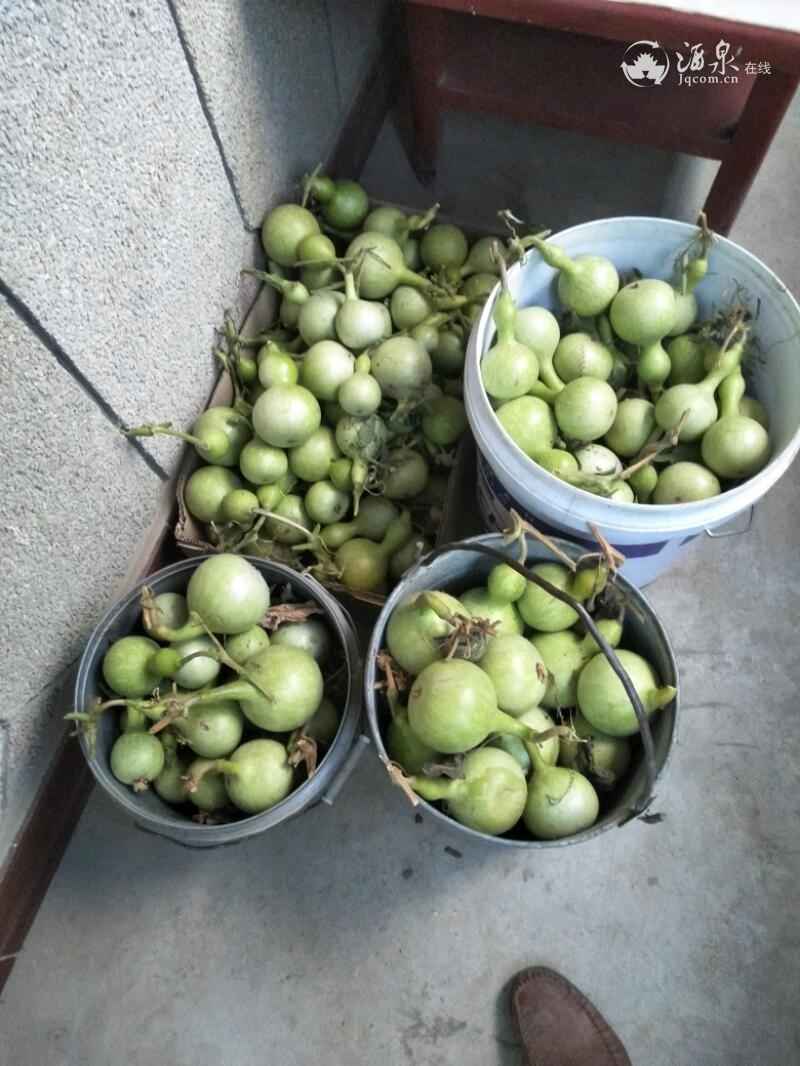 IMG20181013084552.jpeg