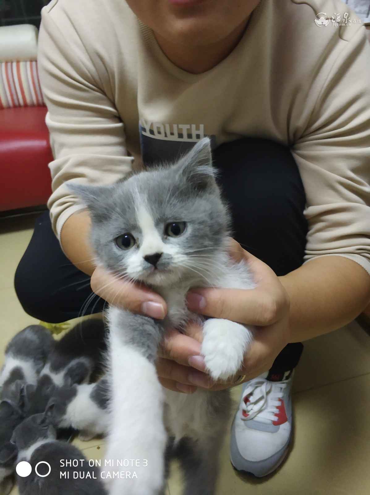 IMG_20181120_201450 - 副本.jpg