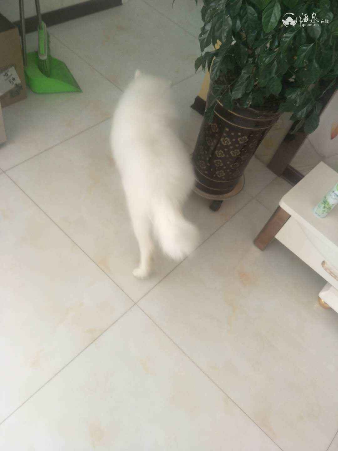 微信图片_20190124134937.jpg