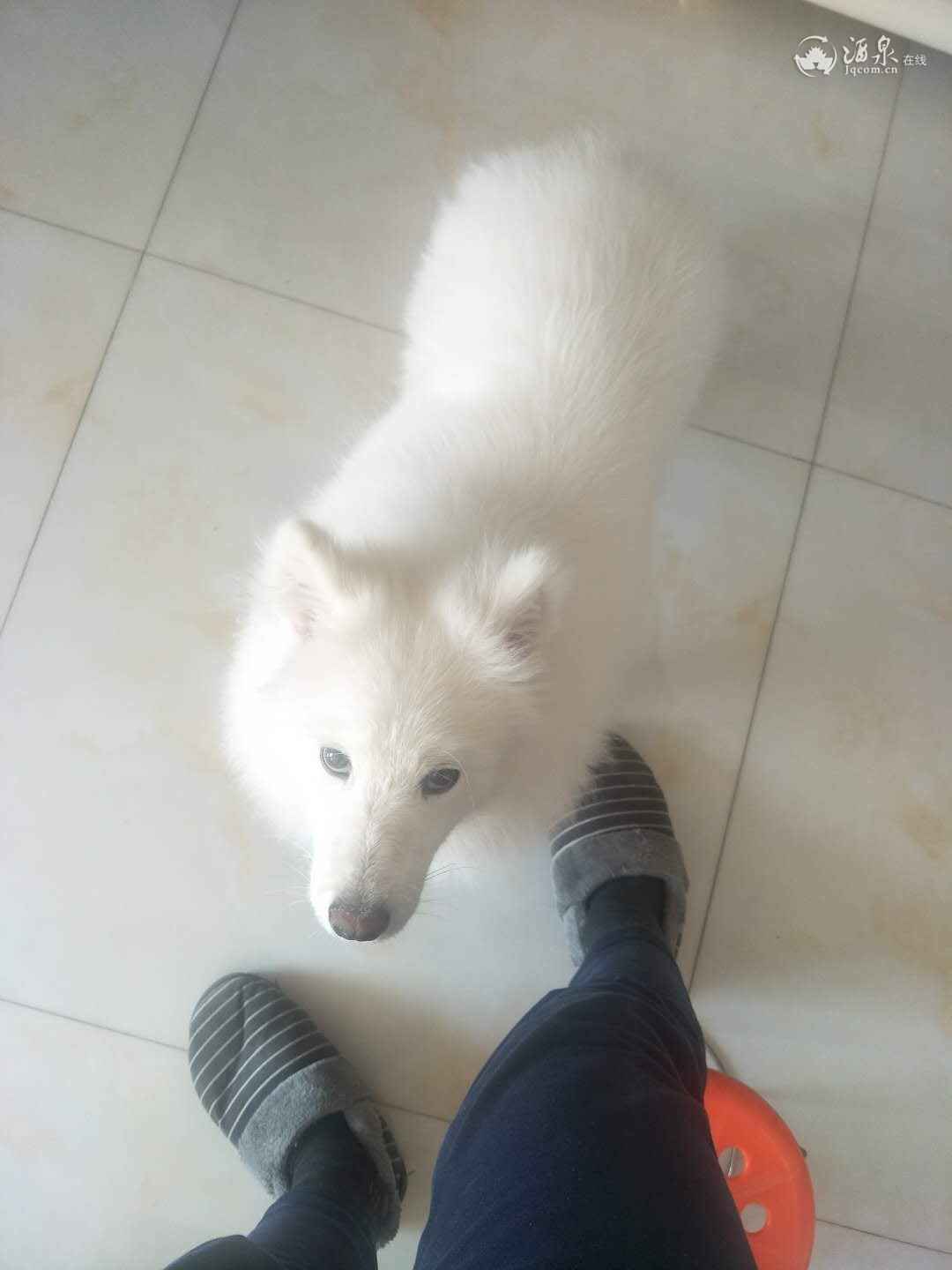 微信图片_20190124134946.jpg