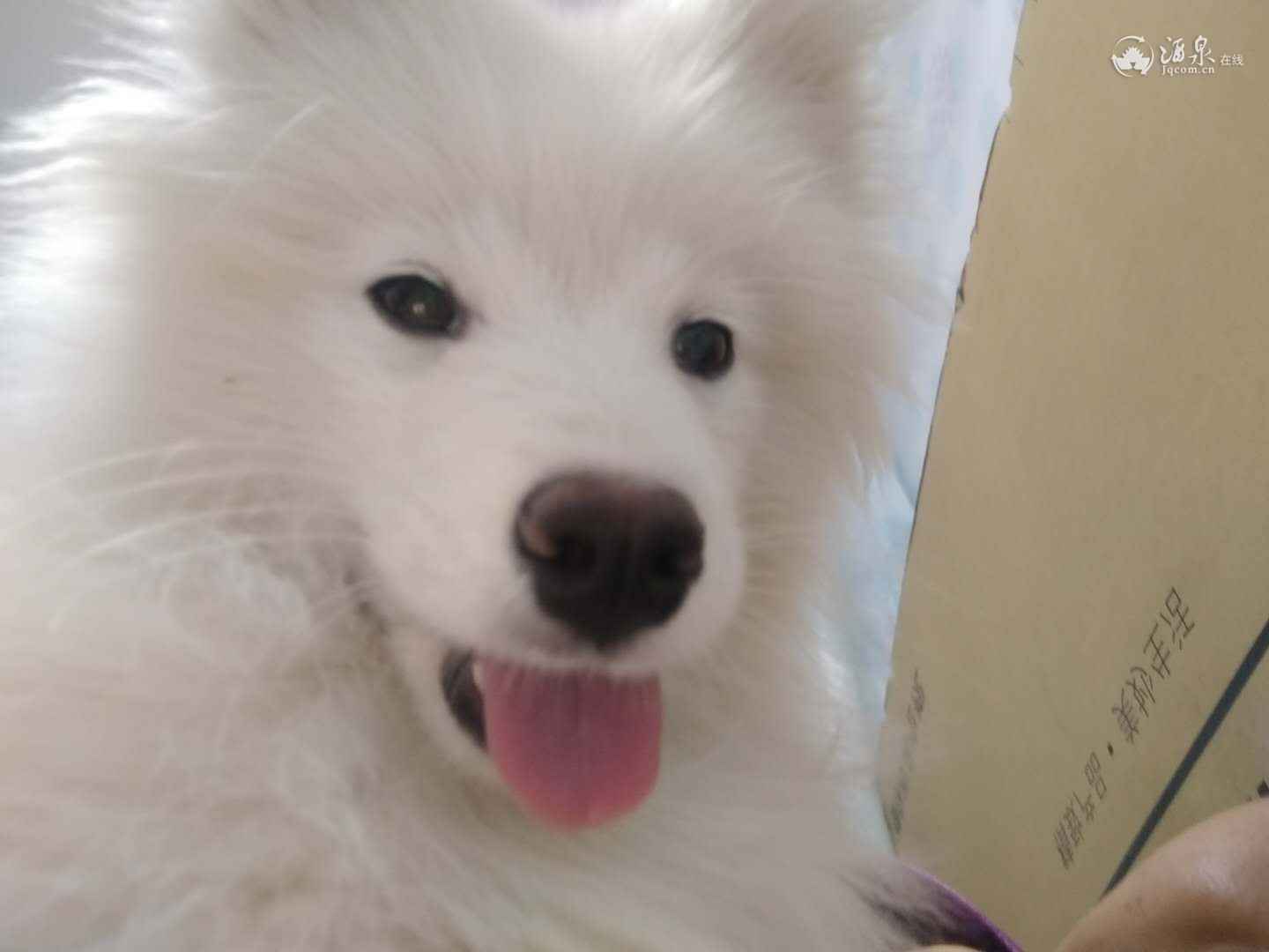 微信图片_20190124134954.jpg