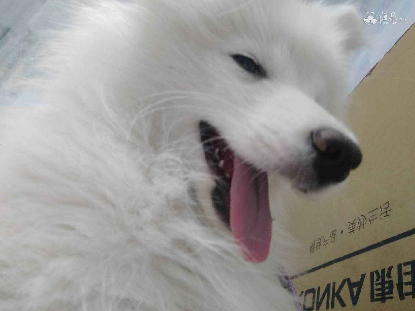 微信图片_20190124135005.jpg