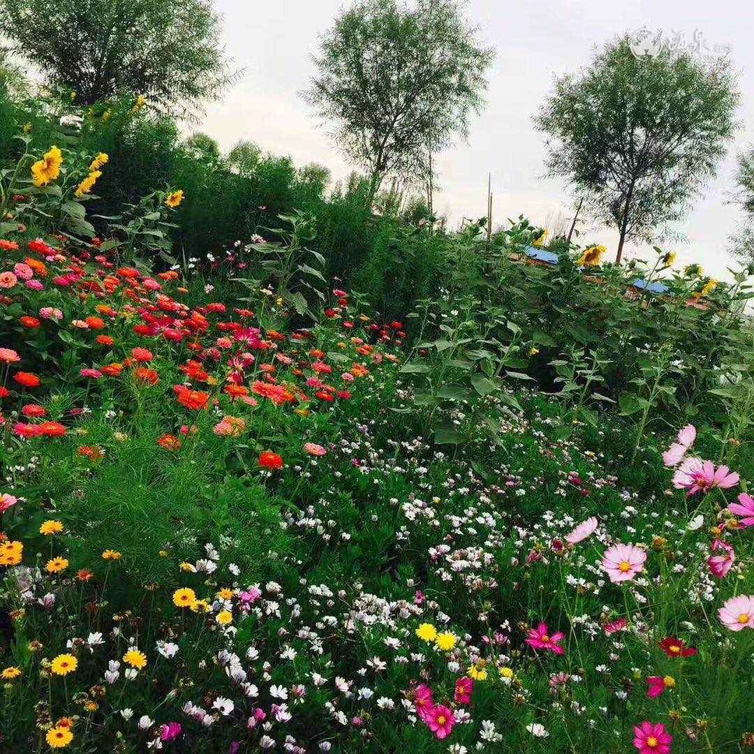 环境