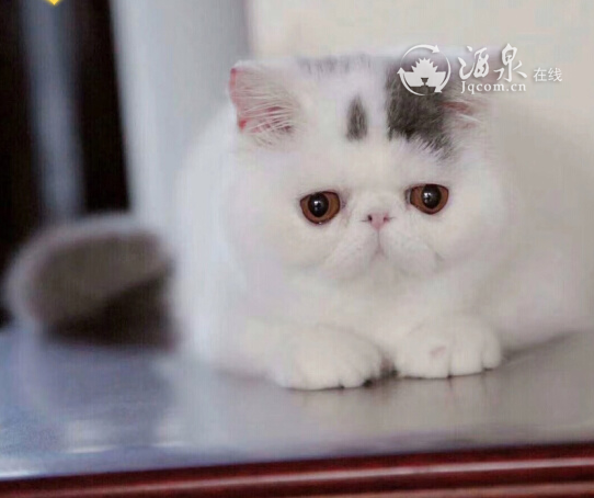 QQ图片20180903150235.png