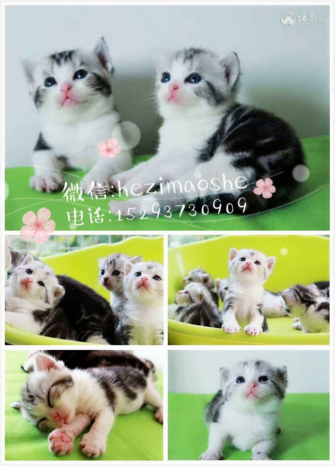 160911pddjioyh6n6hhin6.jpg