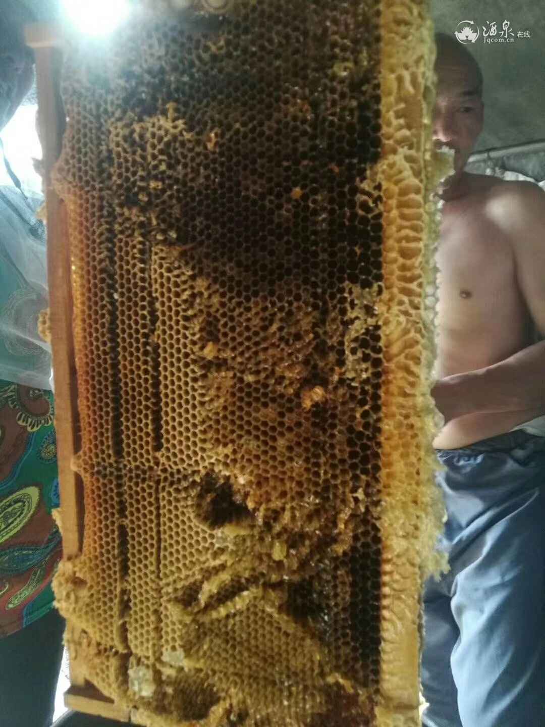 微信图片_20190702105608.jpg