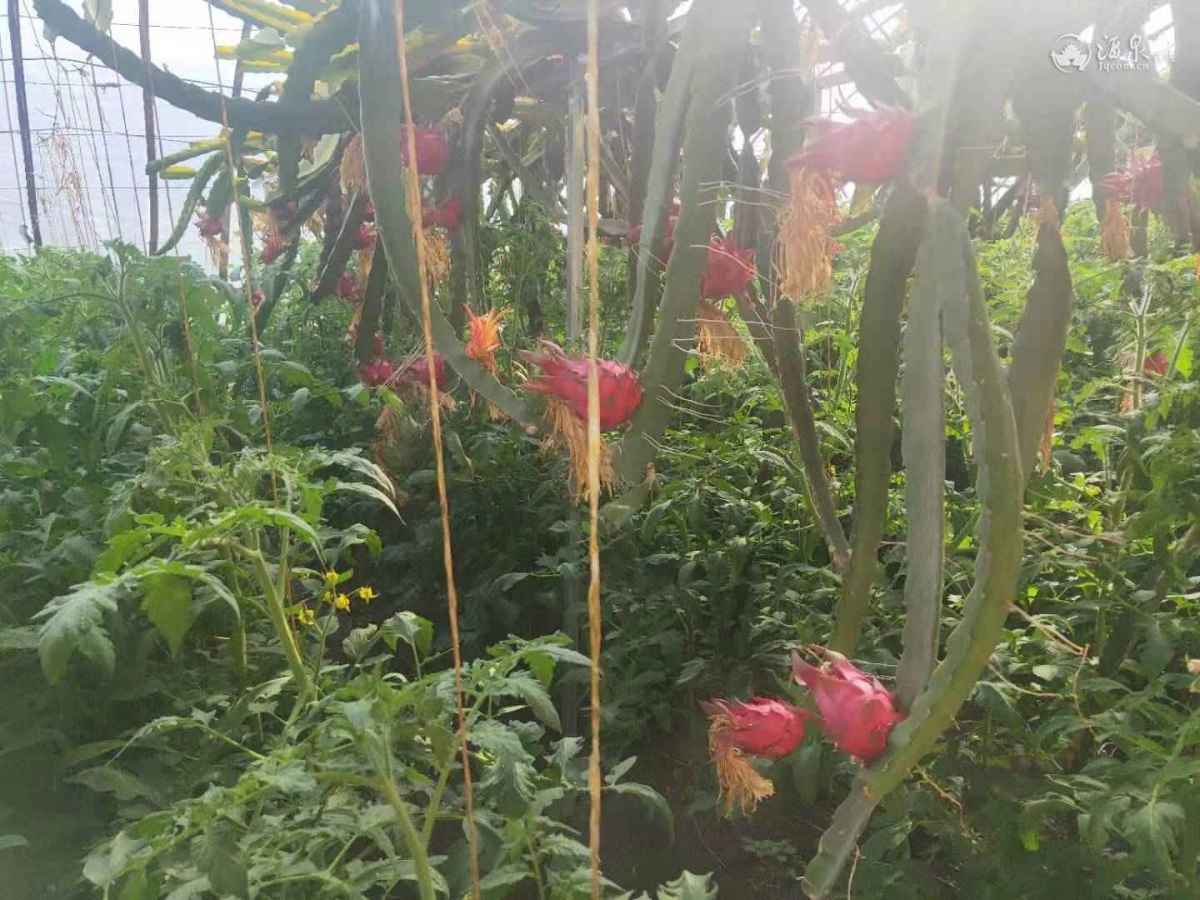 微信图片_20190819004054.jpg