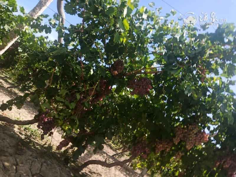 IMG_20190914_104722.jpeg