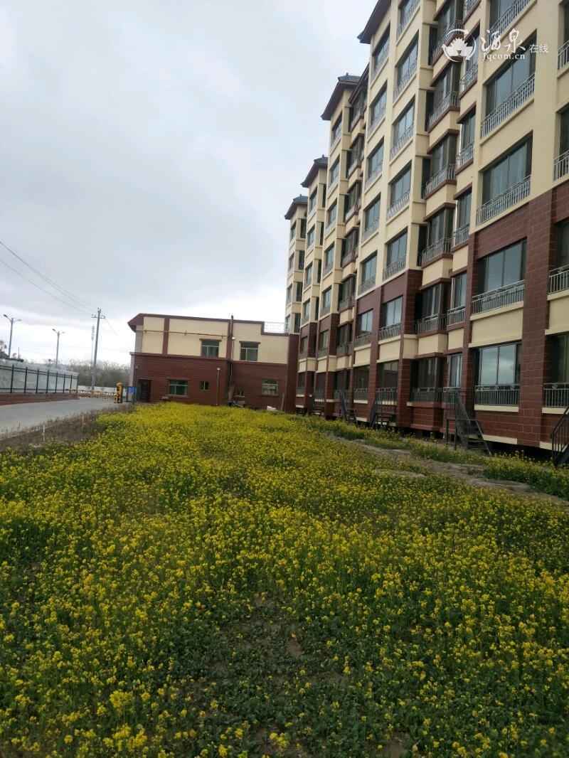 IMG20191112102140.jpeg