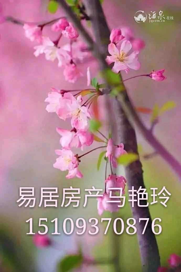 save_share_review_picture_1583142824_mh1583143113108.jpeg