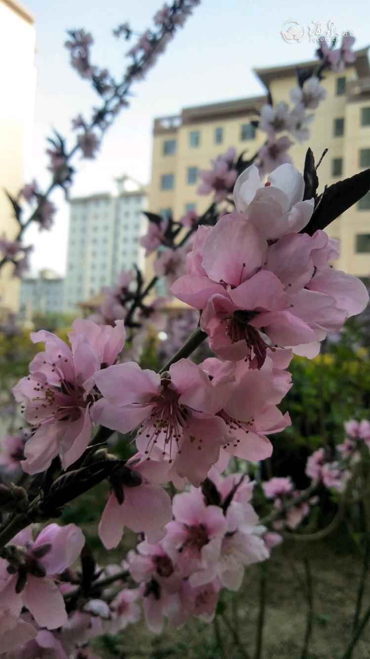 IMG20200414184712.jpeg