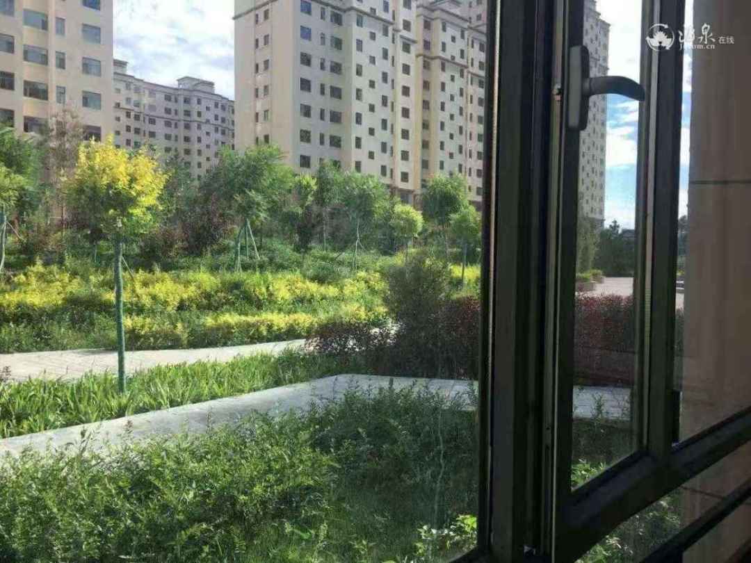 1139841012.jpg