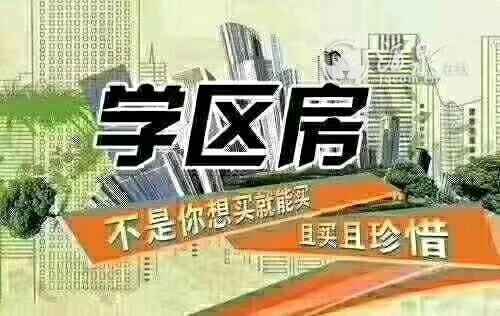 mmexport1581049401142.jpeg