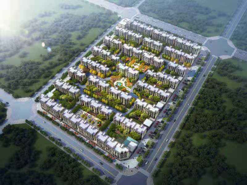 mmexport1622082172725.jpg