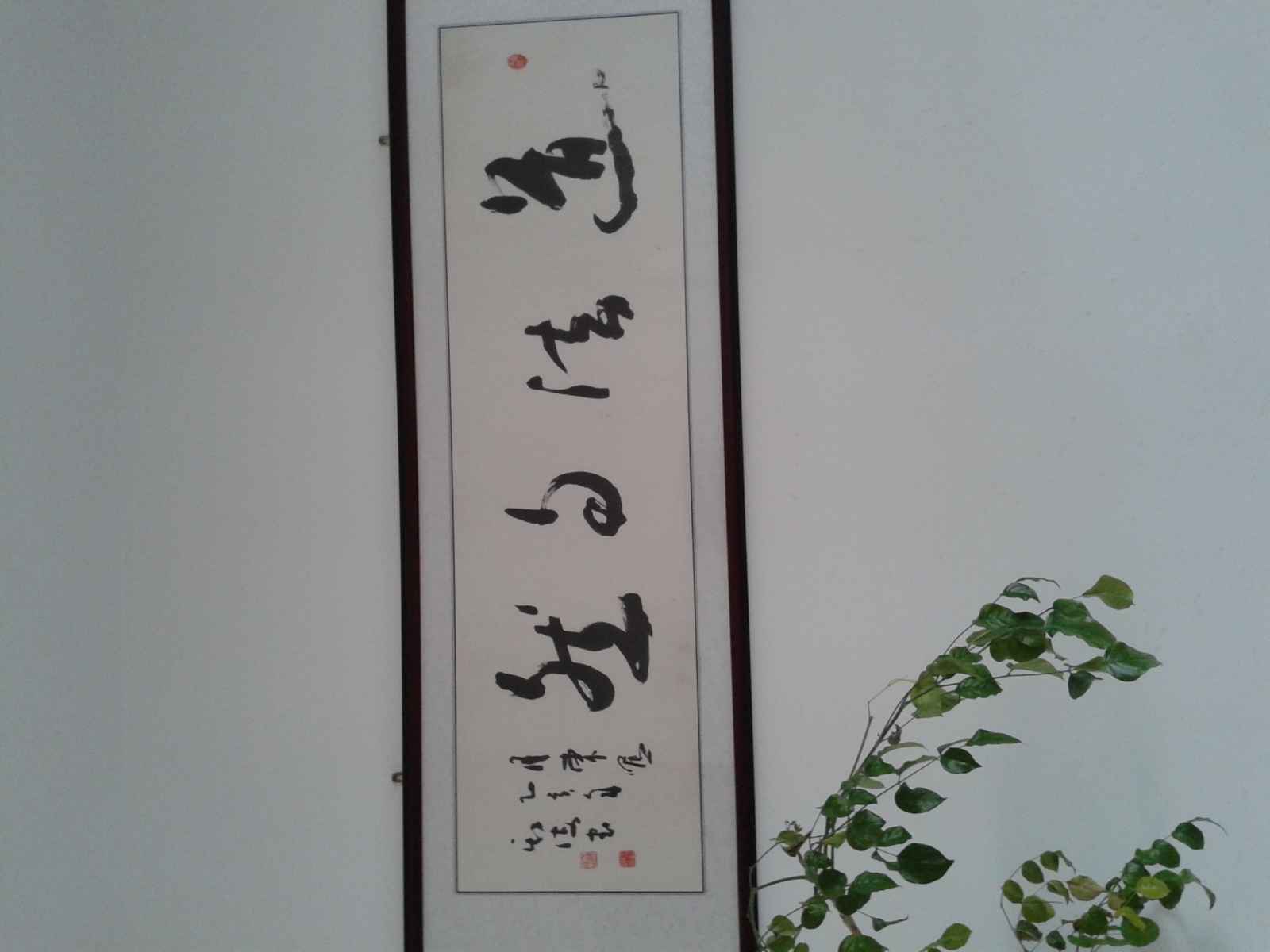 20150619_123945.jpg