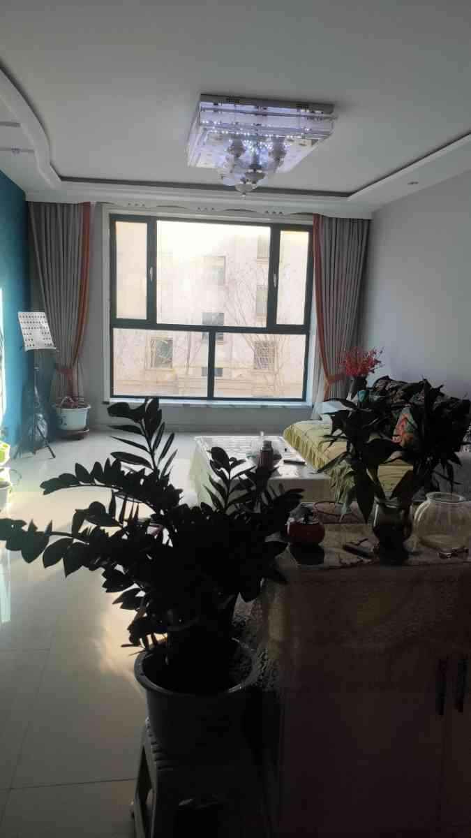 IMG20231226152854.jpg