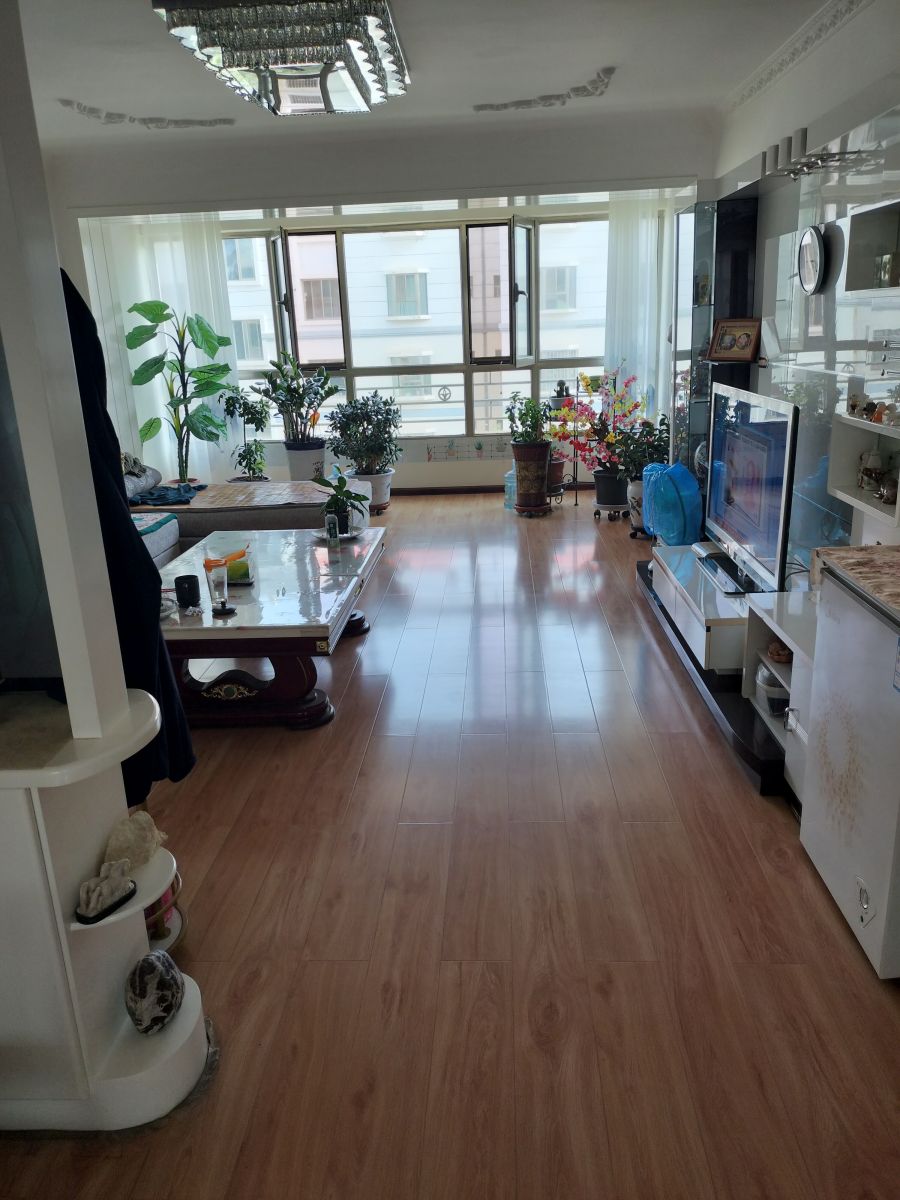 IMG20240705174600.jpg
