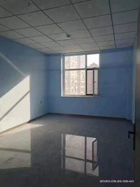 5312358554018610912.JPG