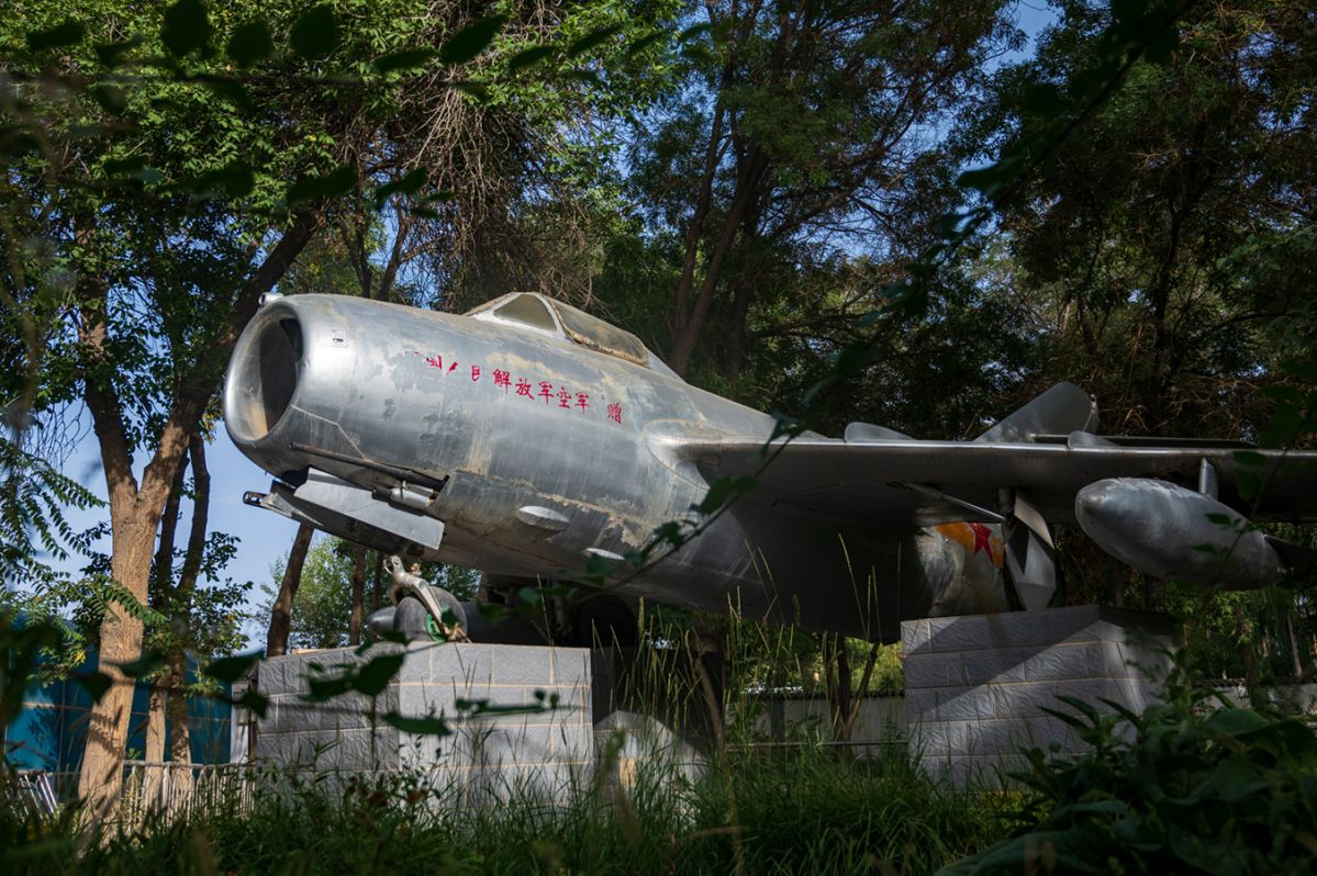 DSC_8155.jpg