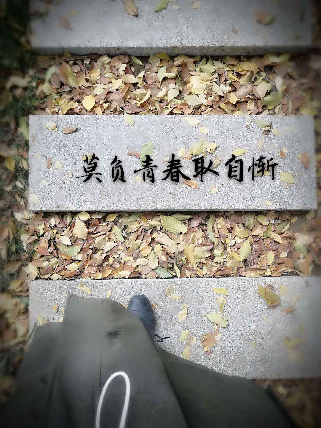 微信图片_20171027225336.jpg