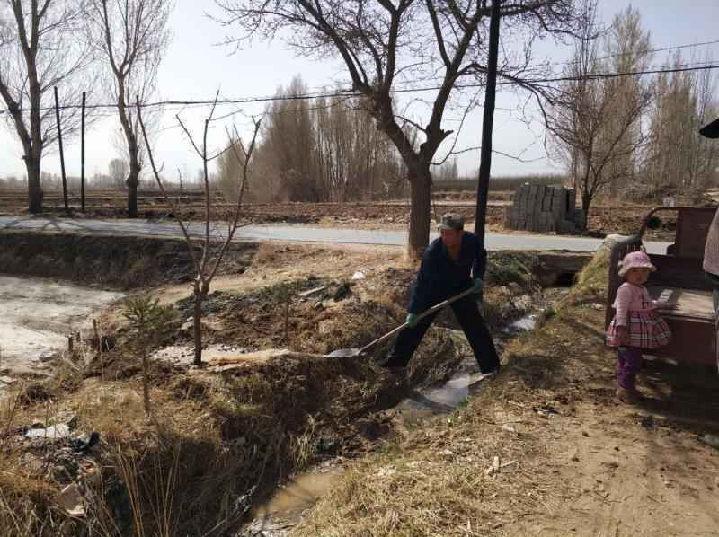 小沟村一村民在房前屋后空挡处栽植了一些杏苗，为确保成活用铁锨舀水浇灌。