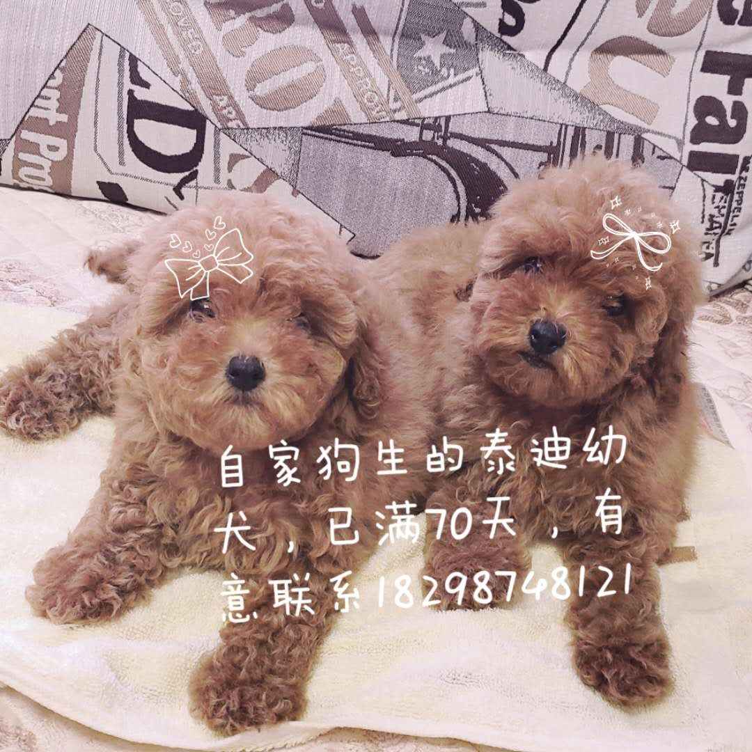 微信图片_20180727120436.jpg