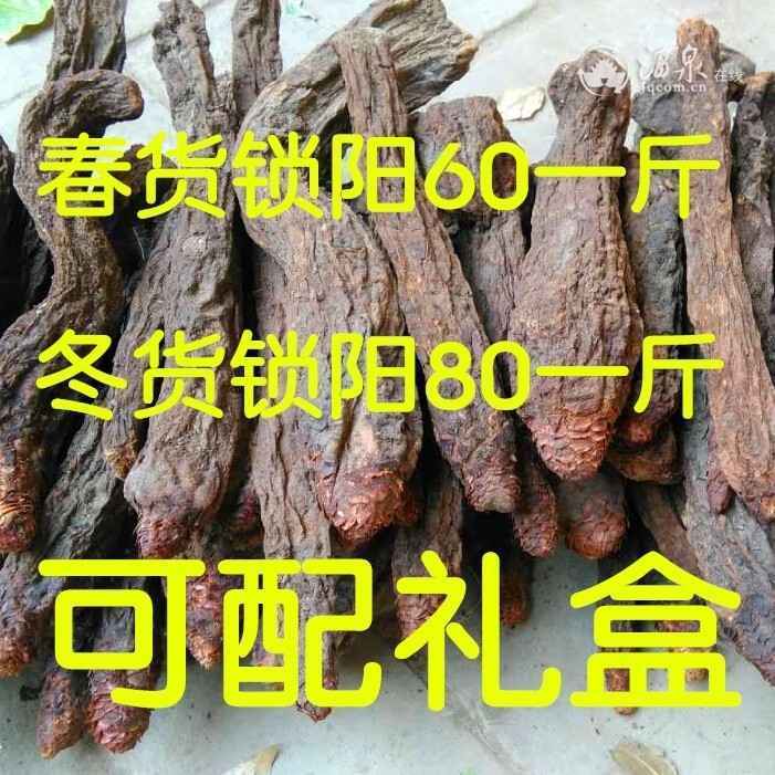 锁阳干货