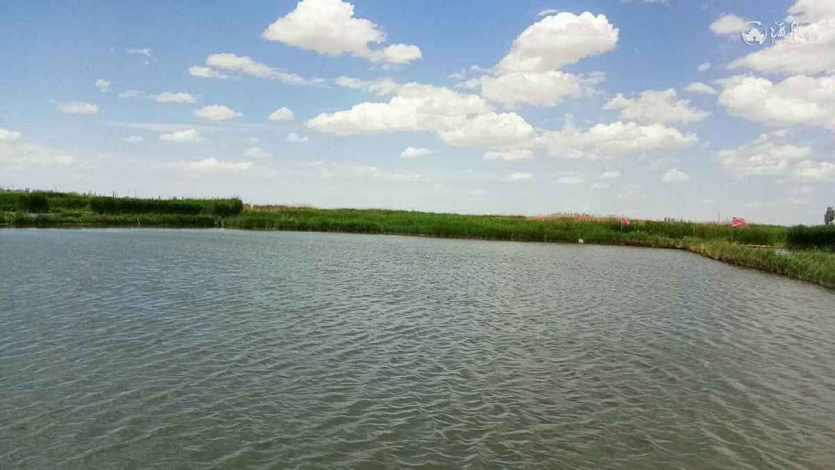 湖光风景